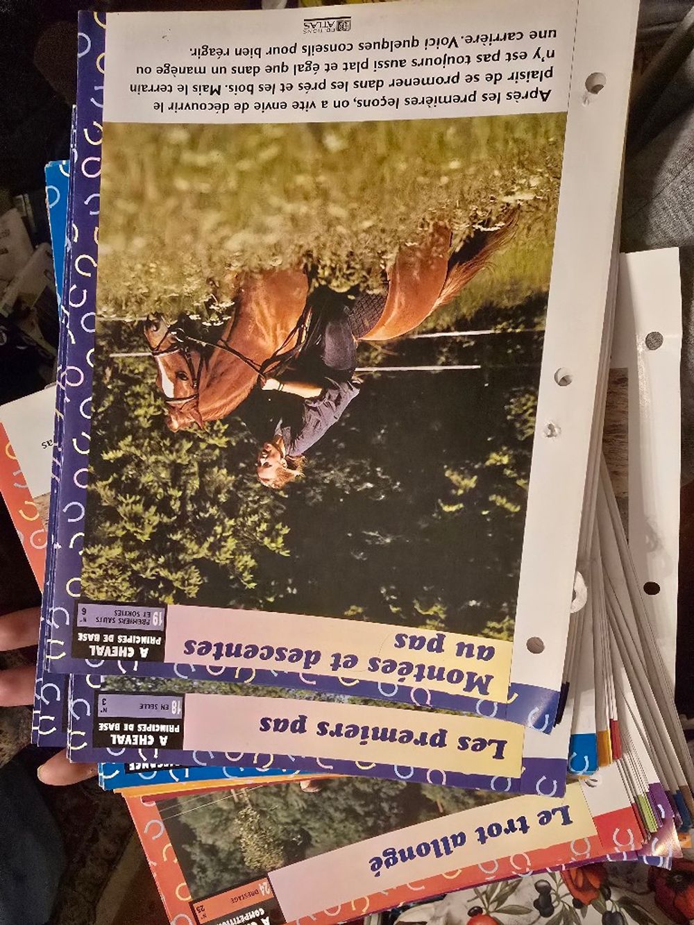 Image item