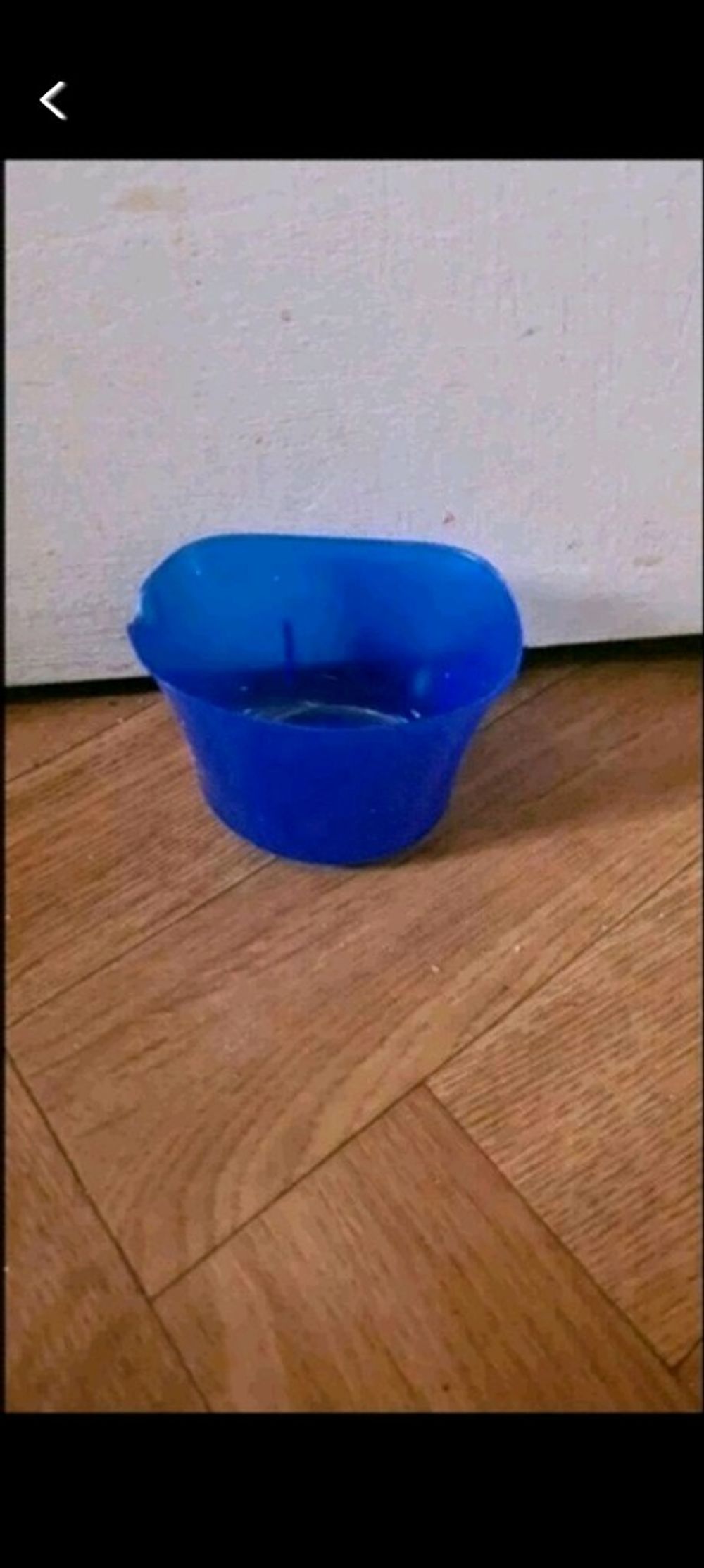 Image item