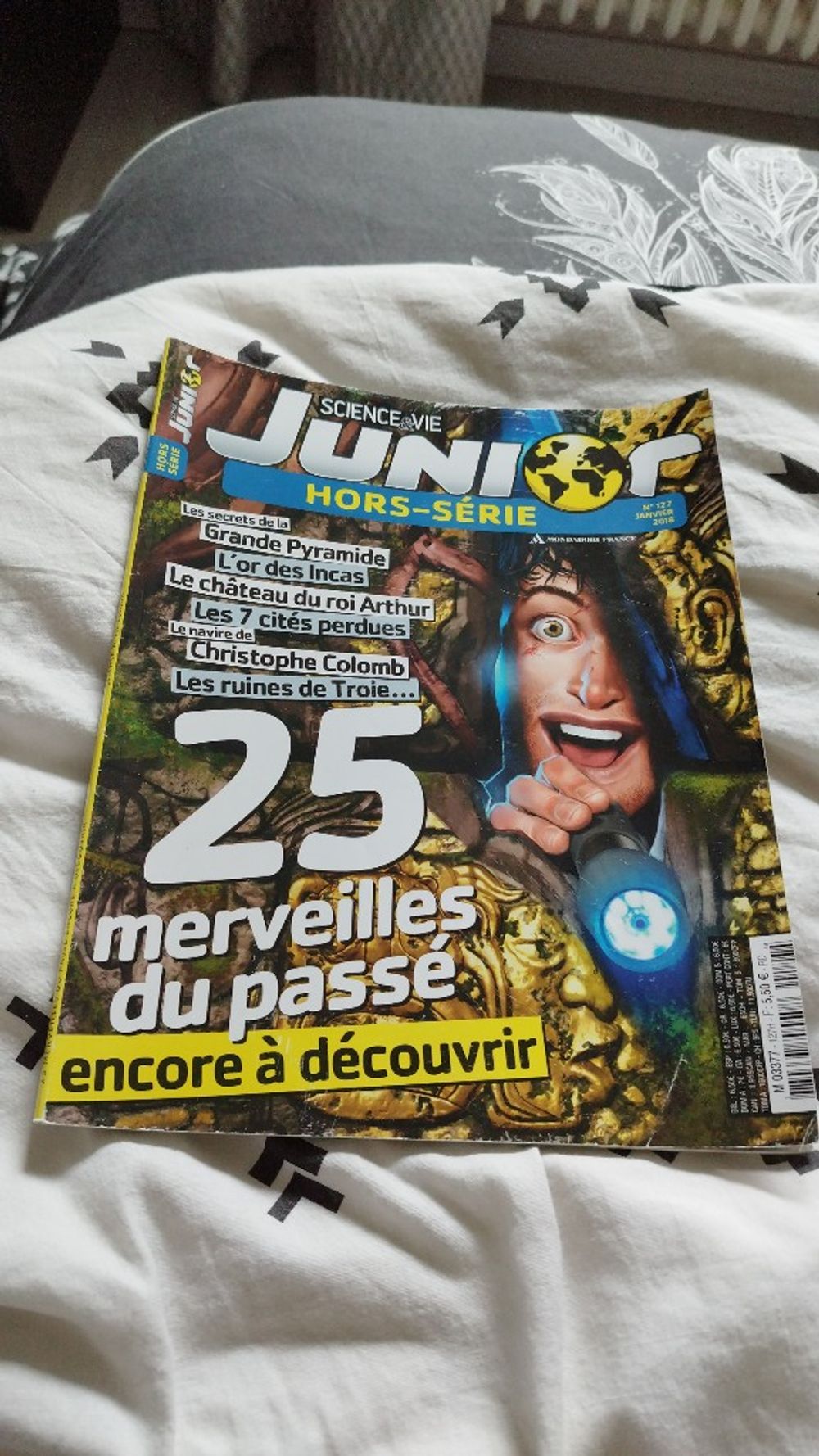 Image item