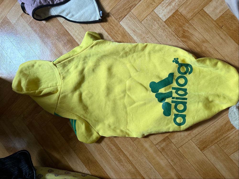 Image item