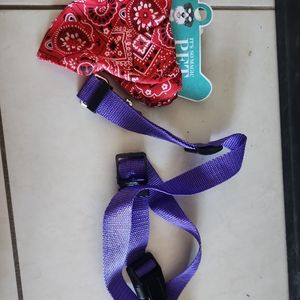 Accessoires chien 