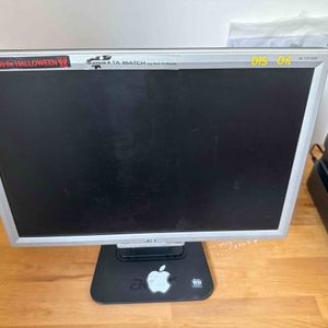 Écran 19” Acer AL1916W – Fonctionnel