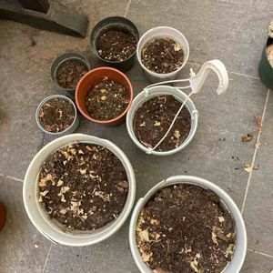 Pots en plastique avec terreau