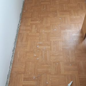 Lino 
