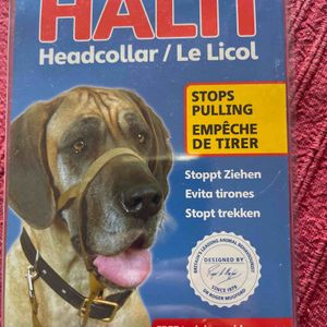 Licol pour chien 