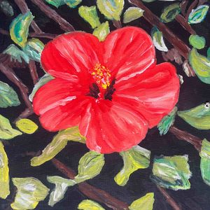 Cadre fleurs 