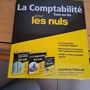 Comptabilité pour les nuls 