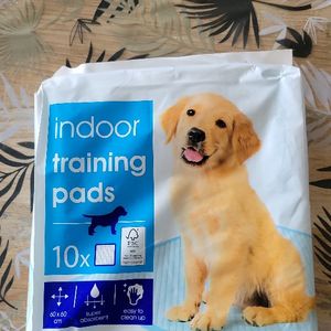 Allèses de propreté pour chien
