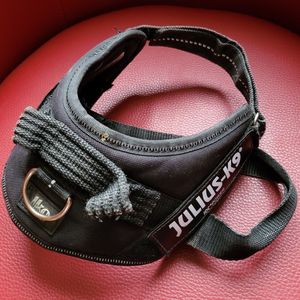 Pour Na Dège Harnais pour chien Julius
