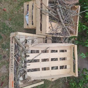Petit bois bois pour barbecue