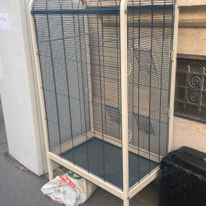 Urgent cage à oiseaux vue dans la rue