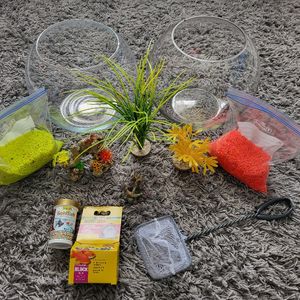 Accessoires pour poissons 