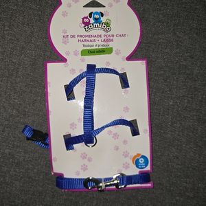 Kit promenade chat