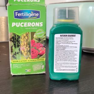 Produit contre pucerons 