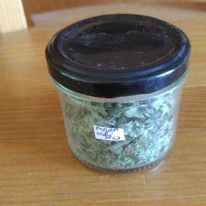 Petit pot d'origan séché de mon jardin