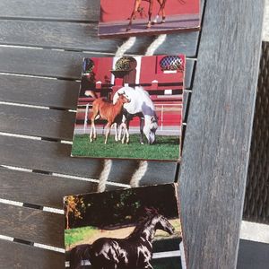 Enfilade cadre chevaux 