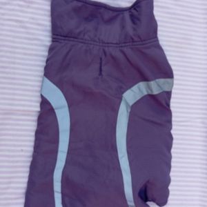 Manteau chien