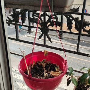 Jardinière rouge à suspendre