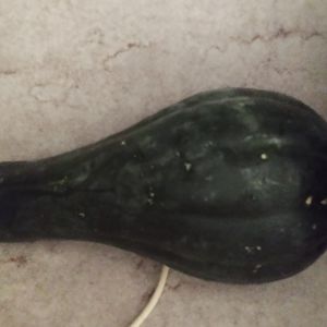 Donne courge du jardin 