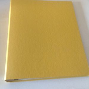 Grand classeur jaune+ 100 pochettes 
