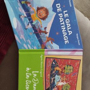 Lot de 2 livres