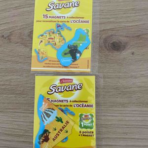 Magnet savane