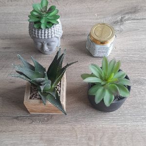 Fausses plantes + bougie