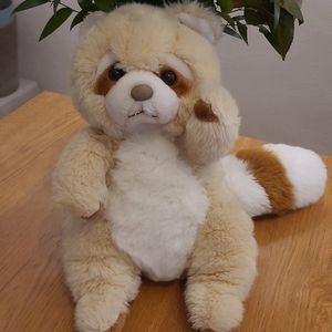 Castor peluche 35 cm