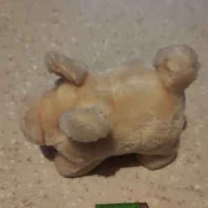 Petite peluche 5