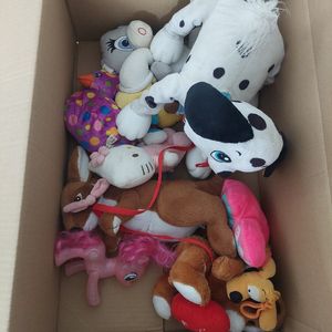 Peluches Regeev 