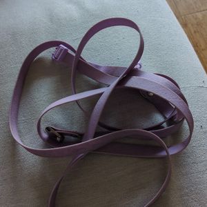 Laisse a collier 