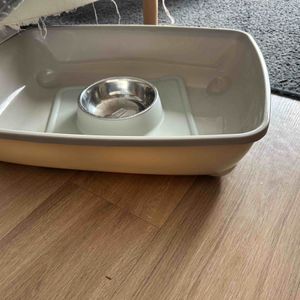 Litière plus gamelle pour chat 