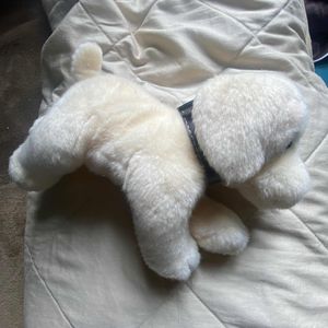 don doudou chien 