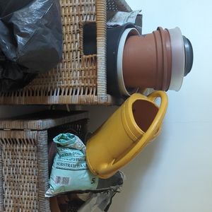 Divers pots de plantes