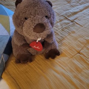 Peluche castor 