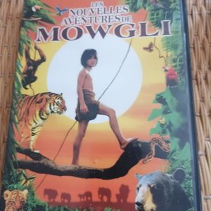DVD 