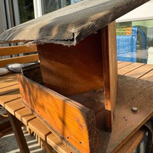Cabane mangeoire à oiseaux