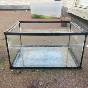 Aquarium pour poisson rouge
