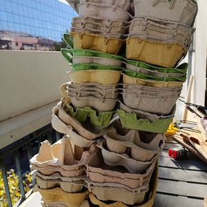 Gros lot boîtes d'oeufs 