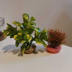 Décorations pour poissons
