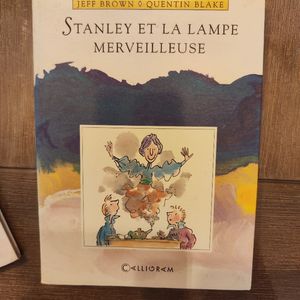 Livre enfant : Stanley et la lampe merveilleuse 