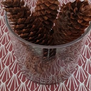 Pommes de pins 