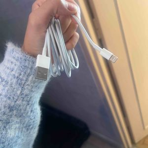 Câble blanc iPhone 2m