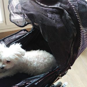 Poussette pour petit chien
