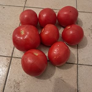 Tomates 