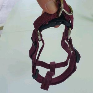 HARNAIS REGLABLE POUR CHIEN 