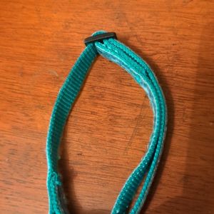 Collier chat sans grelot