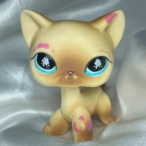 Petshop (copie, achetée sur Aliexpress)