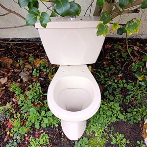 Toilettes vieux beige / marron très clair 