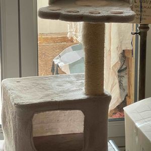Arbre à chat 